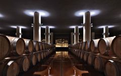 Mazzei Castello Fonterutoli Barrel Cellar Winery Image