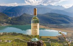 Santa Margherita Winery Image