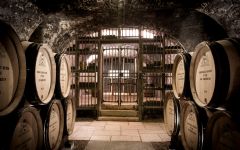 Albert Bichot Winery Image