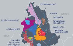 Arnaldo Caprai Winery Image