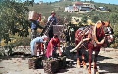 Villa Jolanda  Winery Image