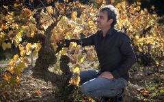 Llopart Winery Image