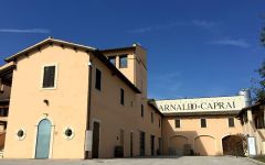 Arnaldo Caprai Arnaldo Caprai Winery Winery Image