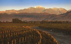 Luigi Bosca Finca Los Nobles Winery Image