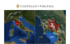 Castello di Volpaia Winery Image