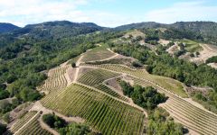 The Hess Collection Veeder Hills Vineyard Winery Image