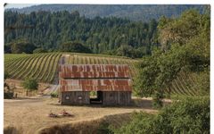 Edmeades Annapolis Vineyard Winery Image