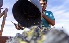 El Pacto El Pacto Harvest Winery Image