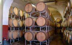 Petrolo Patrolo Barriques Winery Image