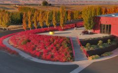 Long Shadows Vintners Long Shadows Vintners’ Winery Winery Image