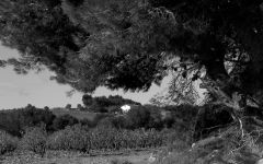 Clot del Pila Clot del Pila Estate Winery Image