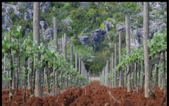 Cantina Gabriele  Winery Image