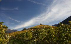 Les Cretes  Winery Image