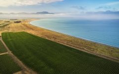 Te Pa Wines Vineyards on the Wairau bar Winery Image