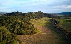 Silverado Vineyards Silverado Vineyard Winery Image