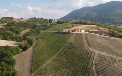 Tenuta Grimaldi The Tenuta Grimaldi Winery Winery Image