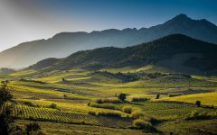 Chateau Saint-Roch Maury Winery Image