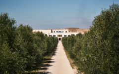 Tormaresca Bocca di Lupo Estate Winery Image