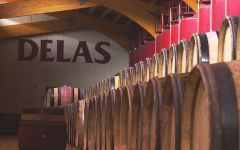 Delas Freres Wine cellar Winery Image