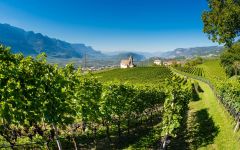 J. Hofstatter Winery Image