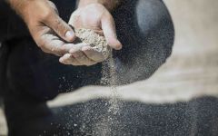 The Hilt   Winery Image