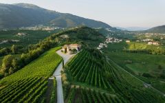 Masi Costasera Amarone Classico 2009 | Wine.com