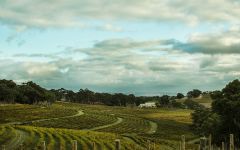 Hickinbotham Hickinbotham Clarendon Vineyard Winery Image