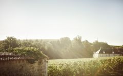 House of Krug Krug Clos du Mesnil Winery Image