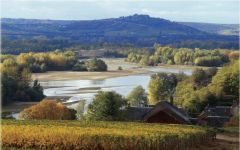 Saget la Perriere The Vineyard and River Winery Image