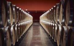 Chateau de Pez 2019 | Wine.com