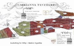 Catena Zapata Adrianna Vineyard Winery Image