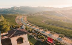 DAOU Family Estates  DAOU Vineyards Winery Image