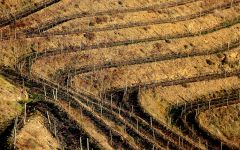Merum Priorati Climate Winery Image