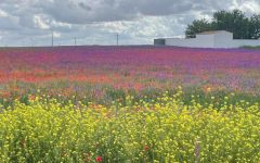 Gulp Hablo Beautiful Scenery Winery Image