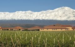 Finca Decero Argentina after a Summer snowfall Winery Image