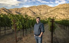 Stags' Leap Winery Ludovic Dervin Winery Image