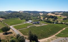 MacRostie Thale's Vineyard Winery Image