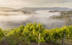 Bodegas Fillaboa  Winery Image