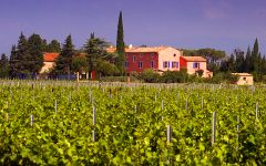 Gerard Bertrand Organic & Biodynamic Vineyards Winery Image
