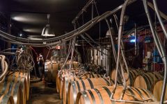 Chateau d'Esclans Winery Image