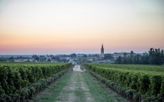Chateau Troplong Mondot Overlooking Saint-Emilion Winery Image