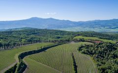 Poggio Antico Winery Image