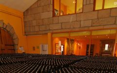 Pazo de Barrantes Winery Image
