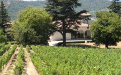 Frescobaldi Pomino Estate Winery Image