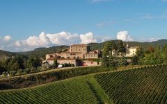 Tenuta di Capraia Winery Image