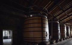 Chateau de Pez Wooden Vats Winery Image
