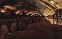 Frederic Esmonin Winery Image