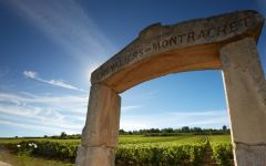 Olivier Leflaive Winery Image