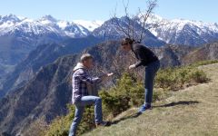 Bordiga Harvesting Botanicals in the Alpes Winery Image