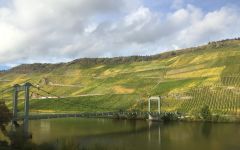 J.J. Prum Harvest Winery Image